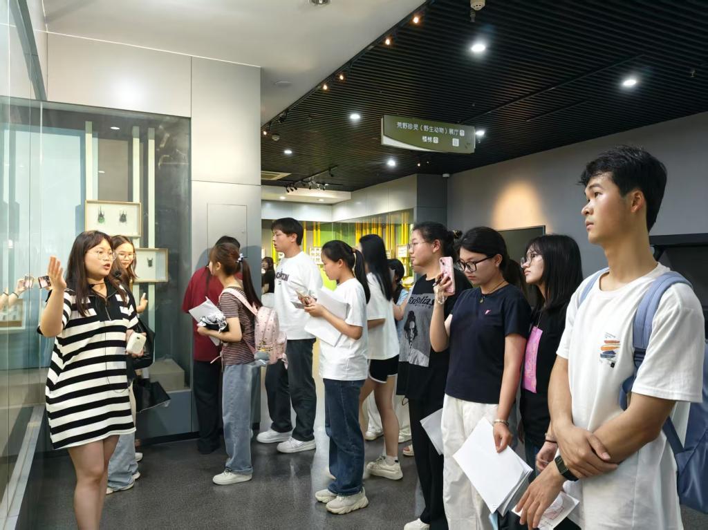 A64FE99EB66347F44BD8927418A900DE