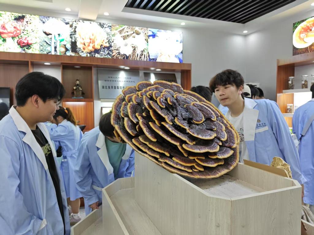 8773D93C66D6D04A2CD3CC378A2D09EC